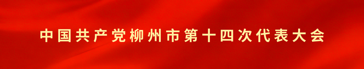中国共产党柳州市第十四次代表大会